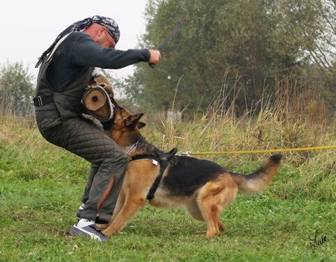 Training in Prague - defence - 10/2006